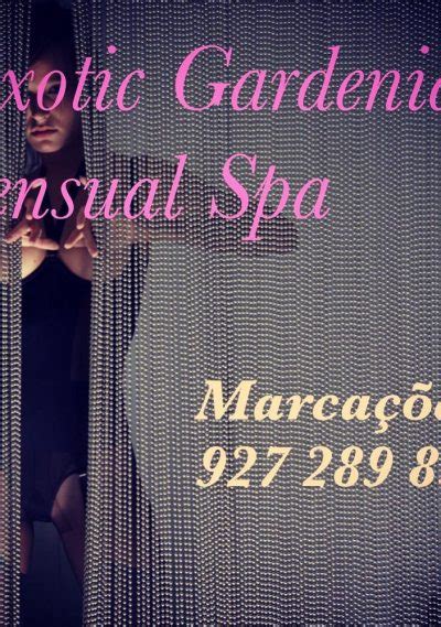 Telephones  of parlors nude massage  in Porto Seguro, Brazil 