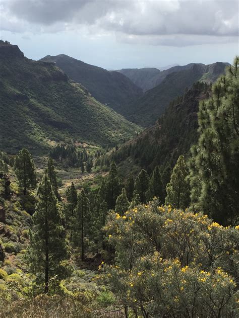 Escort Valsequillo de Gran Canaria