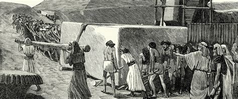 ropstvo Kurba Binkolo