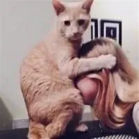 Ogre sexual-massage