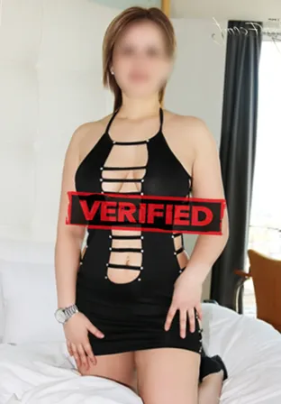 Harper Sexmaschine Prostituierte Muizen