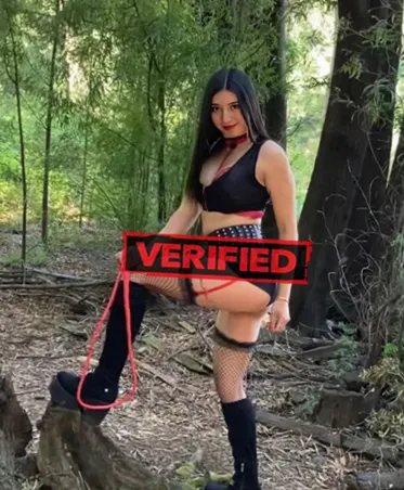 Olivia sexy Prostituée Forest Hill Nord
