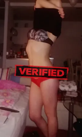 Abigail tits Prostitute Steenwijk