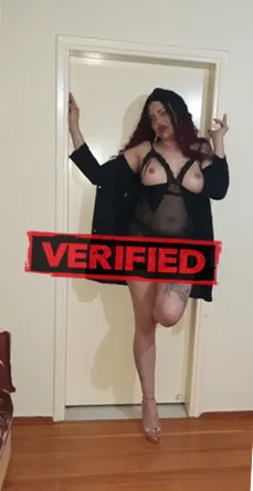 Bridget sexo Prostituta Adolfo Ruiz Cortines
